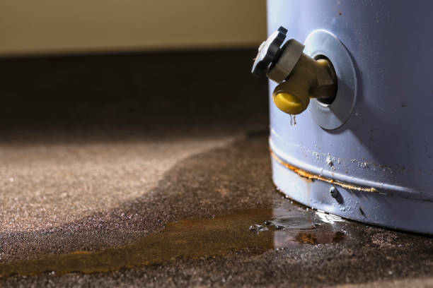 Best Mold removal after water damage  in Beulaville, NC