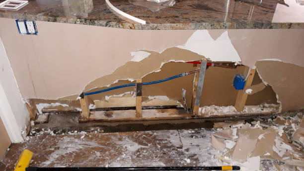 Best Professional water damage repair  in Beulaville, NC