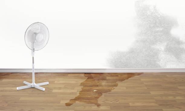 Best Sewage cleanup and water damage restoration  in Beulaville, NC