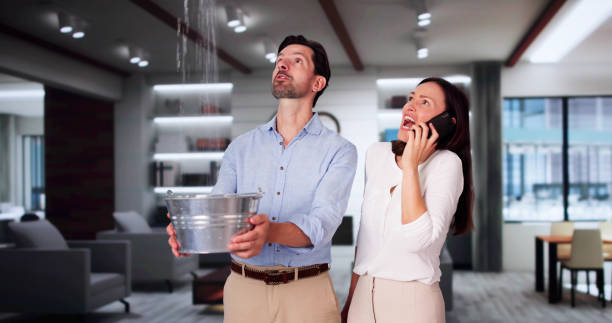 Best Flood restoration services  in Beulaville, NC
